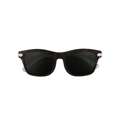 Cruiser x Matte Tortoise - Cruiser x Matte Tortoise-ClocksAndColours-2.png
