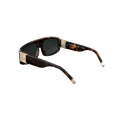Wild Card x Dark Tortoise